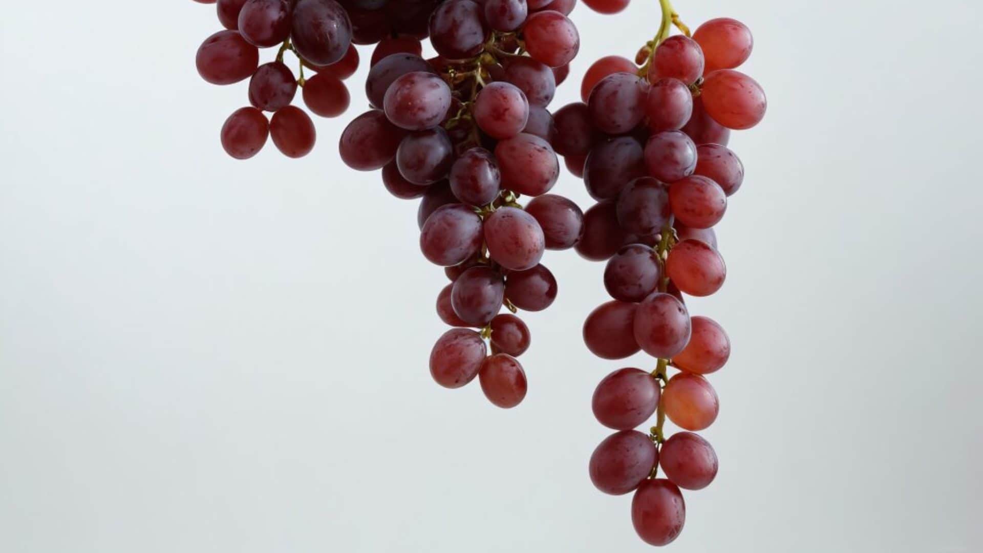 World's Most Expensive Grapes One Bunch can cost more than a car duniya ka sabse mahanga angur