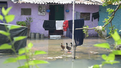 Kanpur: Canal overflows in Niralanagar W Block, water enters houses