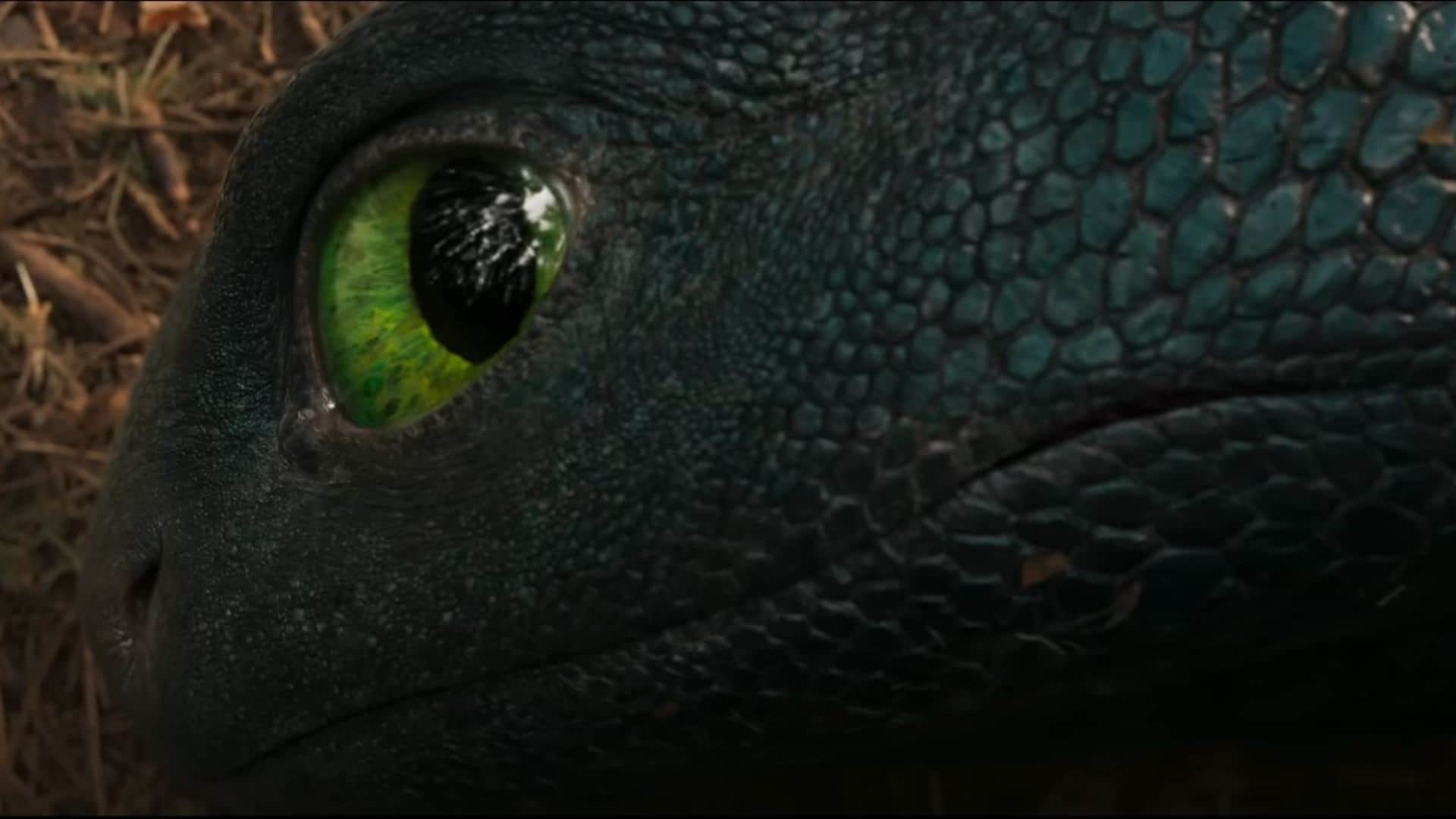 How To Train Your Dragon Box Office Cellection Day 4 hollywood film total collection