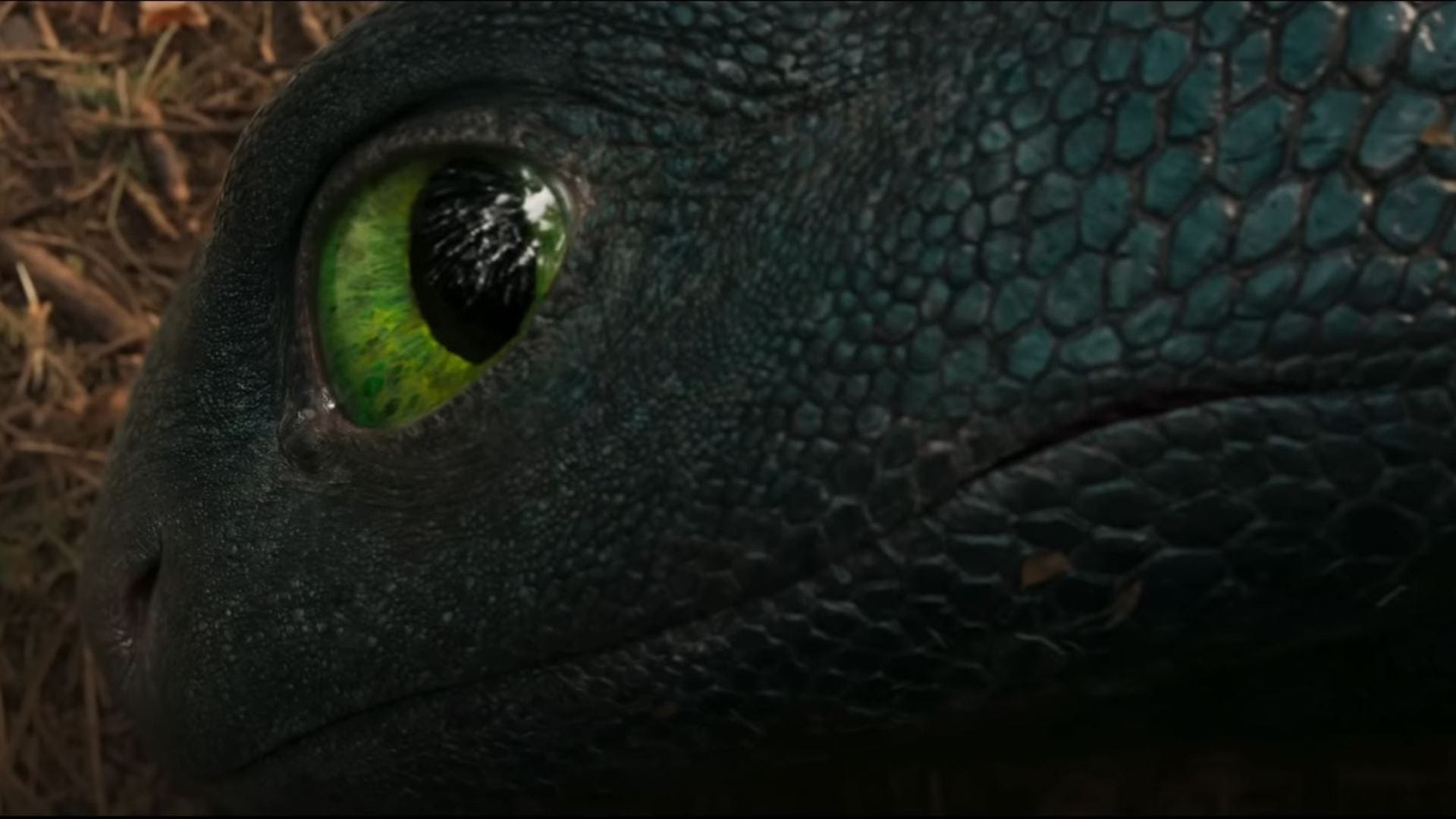 How To Train Your Dragon Box Office Cellection Day 4 hollywood film total collection
