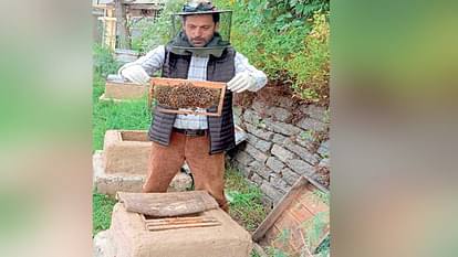Success: Sweet result of Nauni University's research, abundance of honey in mud house