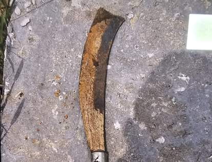 Indore News: After killing her husband, wife Sonam cleaned the blood-stained knife with grass.