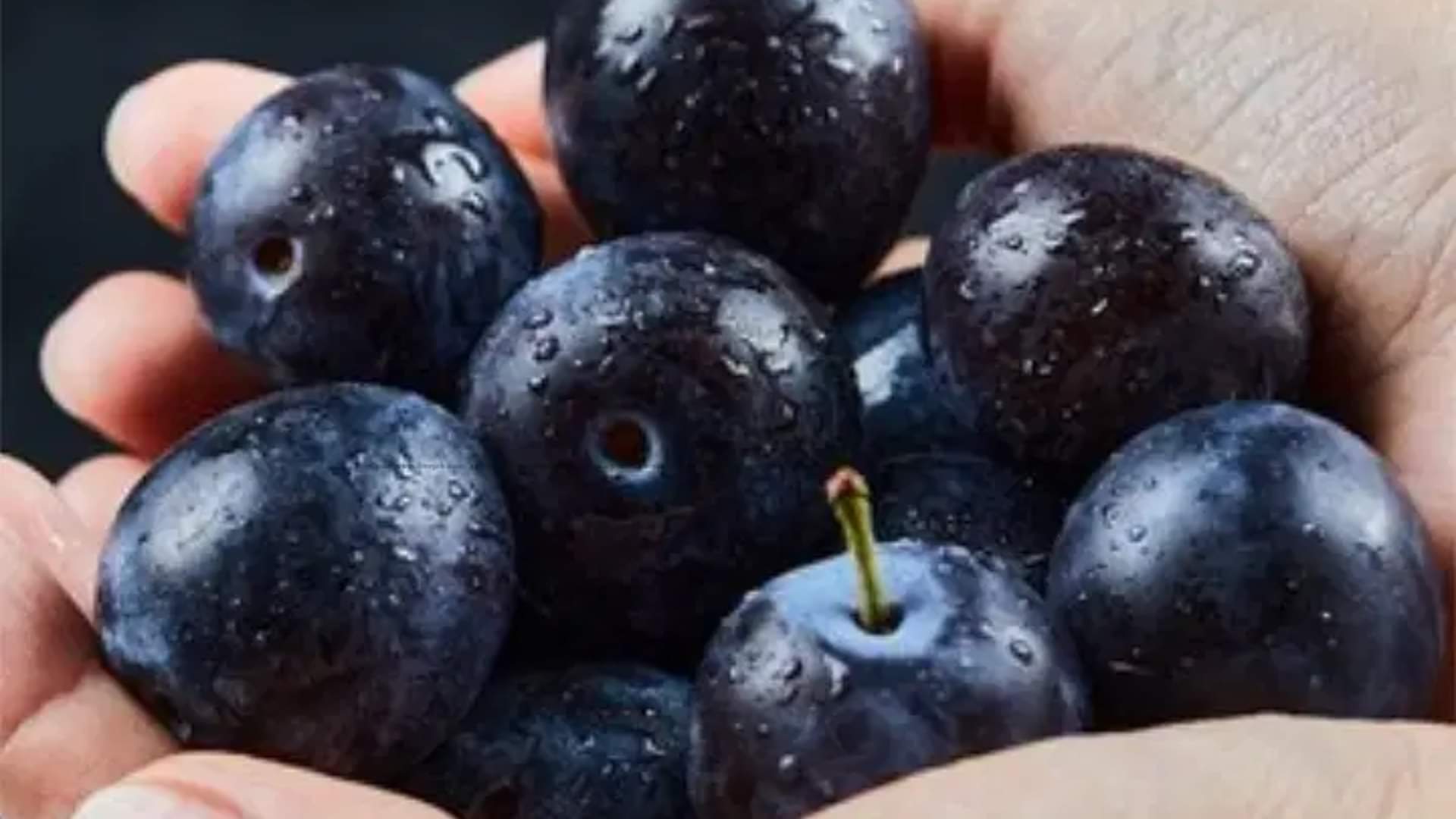 Jamun Shots Recipe At Home Know How to Make Jamun Shots Recipe in Hindi