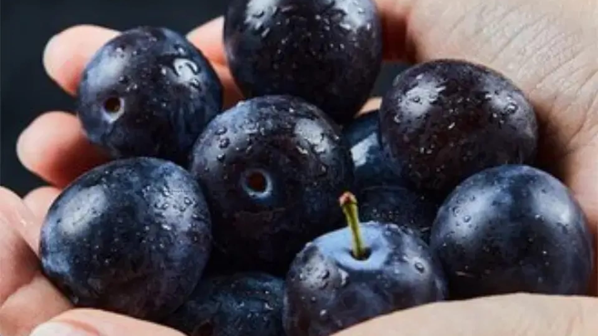 how to use jamun seed face pack at home for glowing skin disprj
