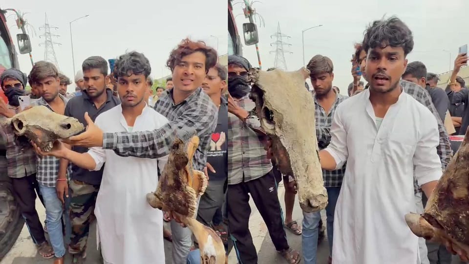 many animal bones were found in the container Police were stunned Bajrang Dal created a ruckus