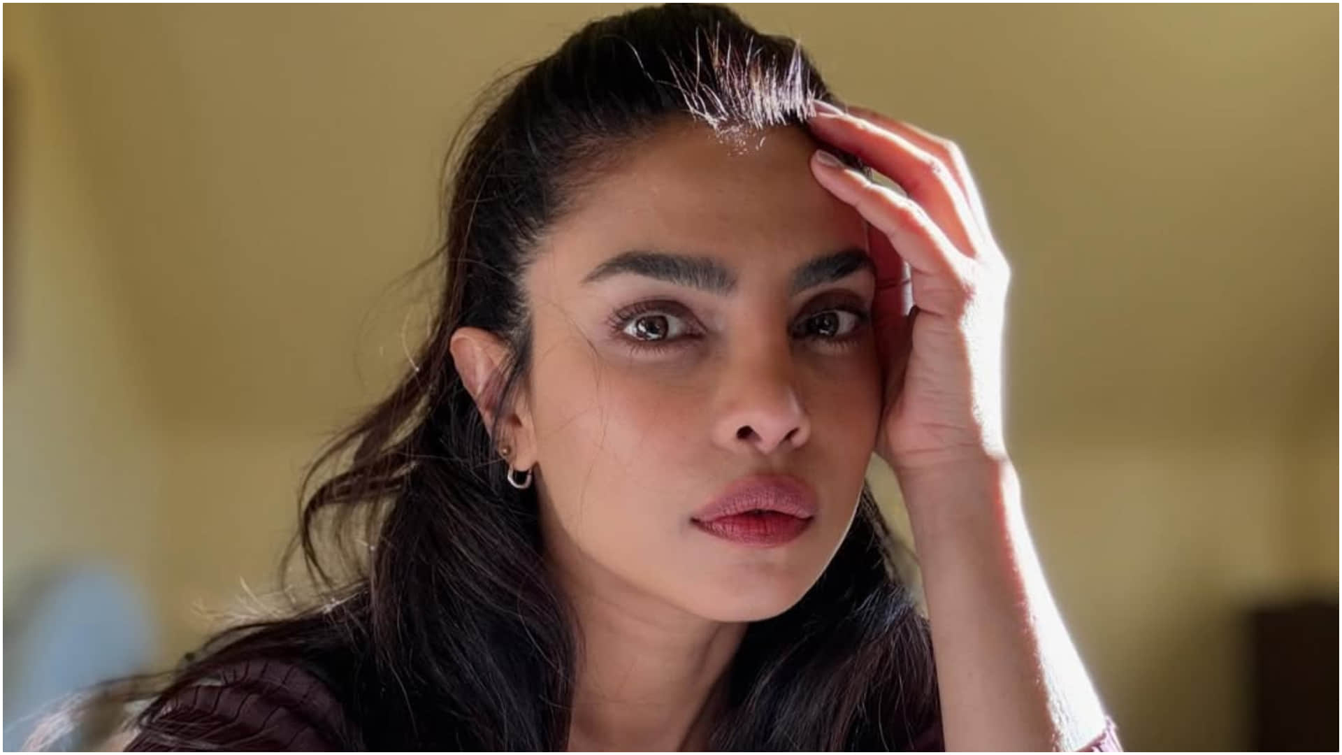 Bollywood Actresses Who Started Their Careers in South Cinema Rhea Chakraborty Aishwarya Rai Priyanka Chopra