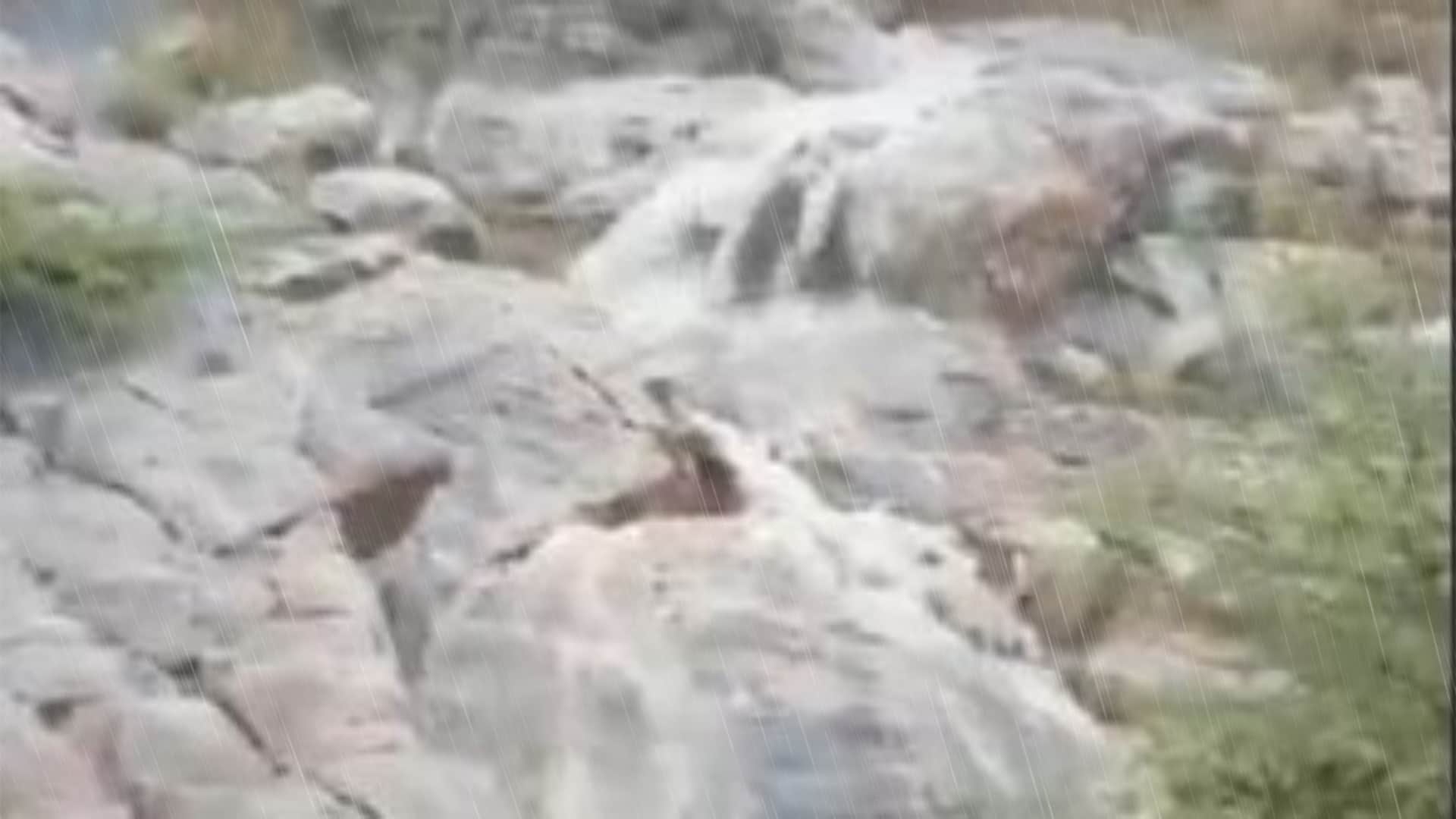 Rajasthan Pre-Monsoon: Monsoon Makes an Entry with Showers in Jaipur, Orange Alert Issued for 8 Districts