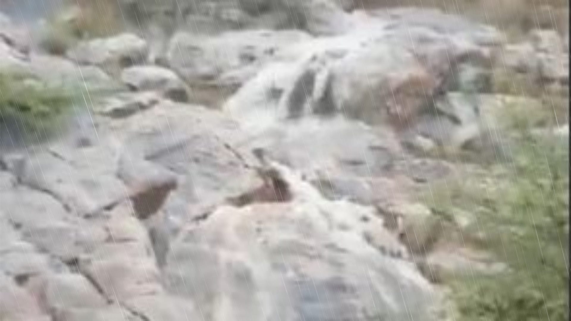 Rajasthan Pre-Monsoon: Monsoon Makes an Entry with Showers in Jaipur, Orange Alert Issued for 8 Districts