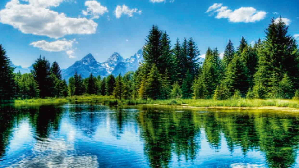 By 2100 greenery in Northern Hemisphere to increase by more than two times