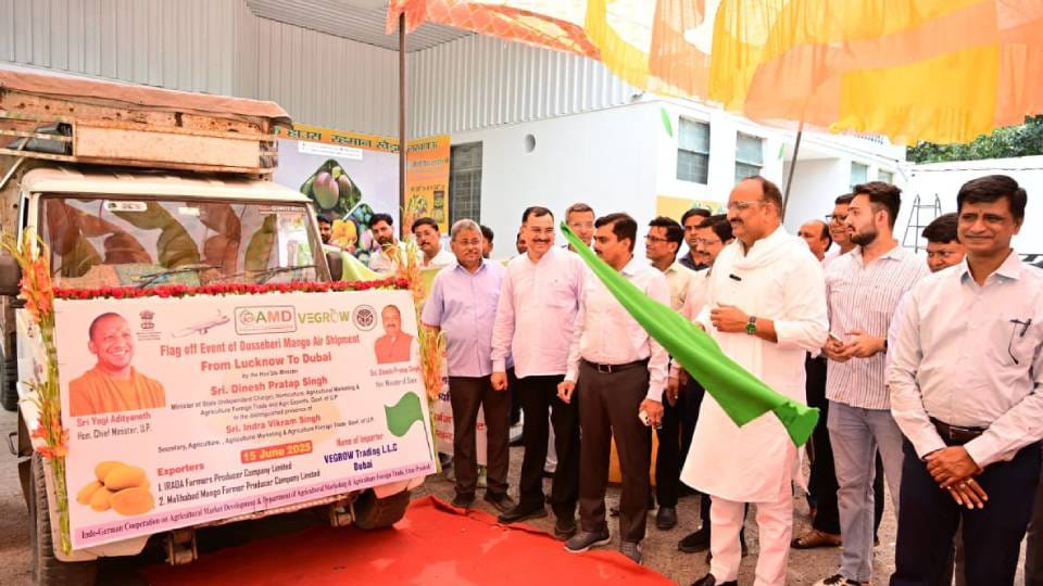 1200 kg of Dussehri mango from UP was sent to Dubai FPO got opportunity to export directly for first time