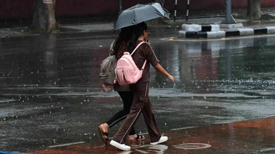 Heavy rain alert in Chandigarh and punjab for three days weather news
