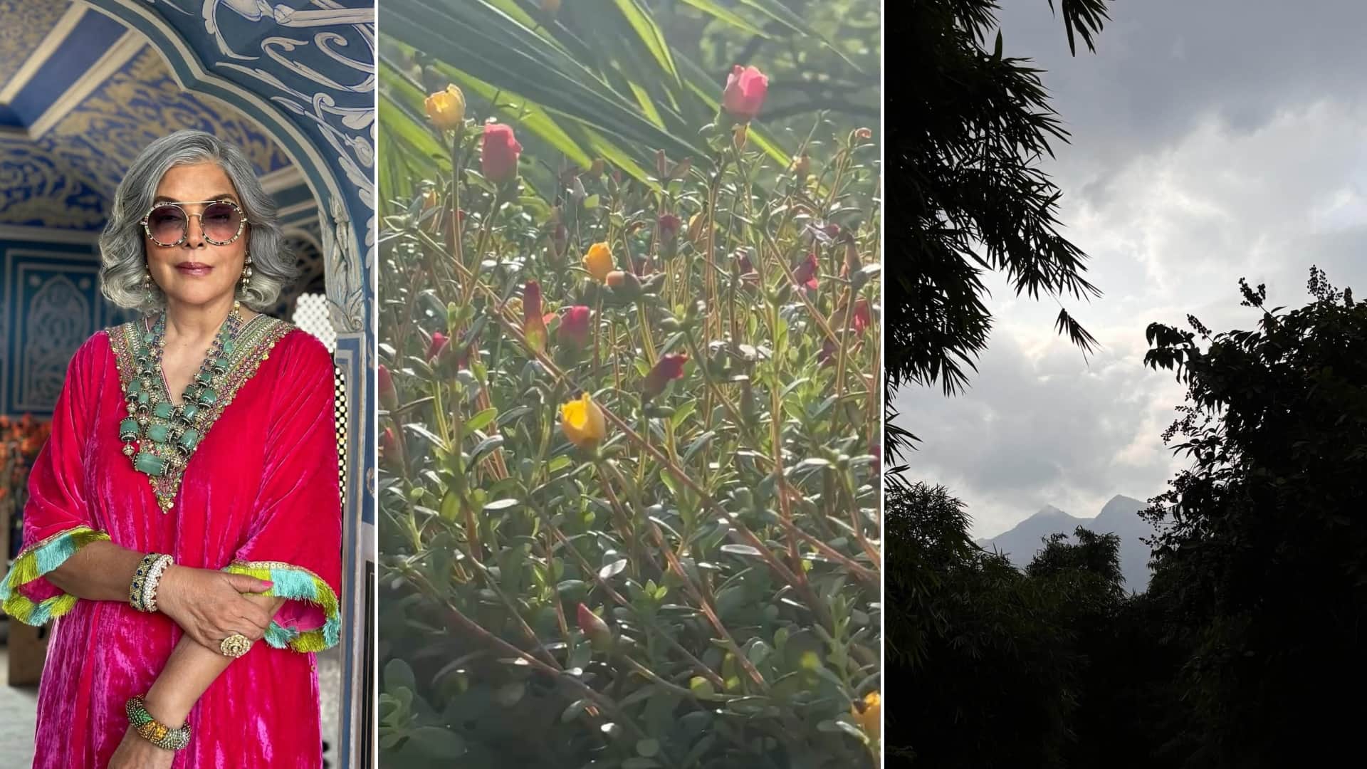 Zeenat Aman post from Windswept in the Western Ghats enjoy monsoon weather said about shahi and Raj kapoor