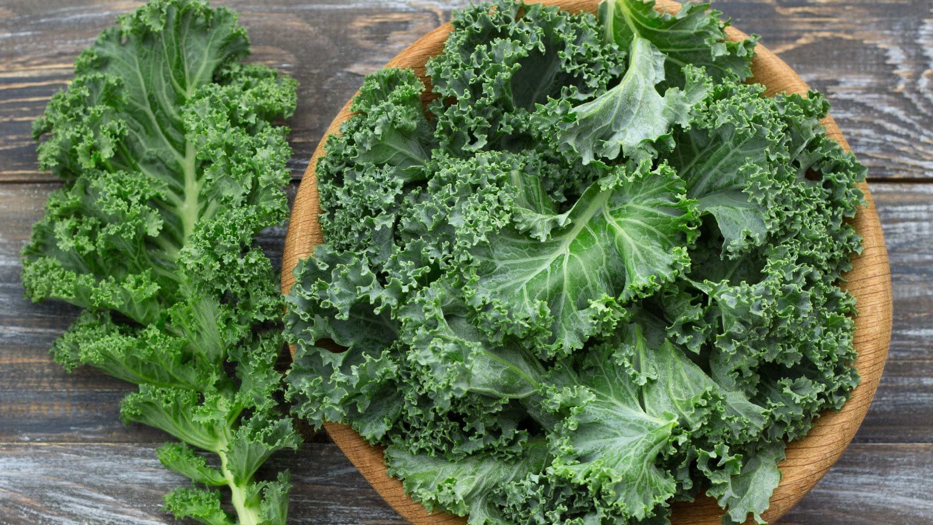 What Happens When Body Lacks Vitamin K Check 4 Vegetarian Sources to Boost Bone and Blood Health