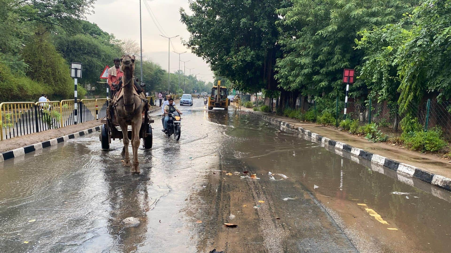 करौली में जोरदार बारिश