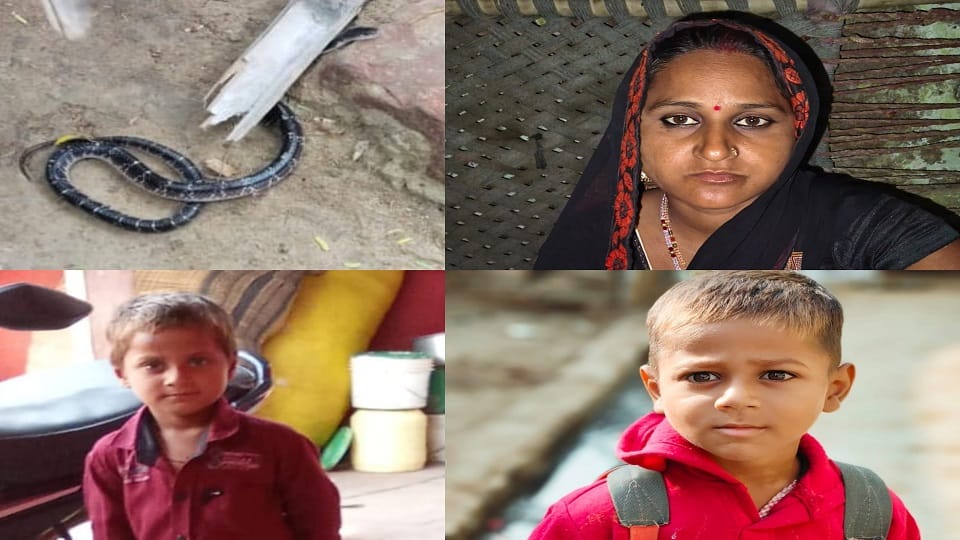snake bite mother and two innocent child and both child are died
