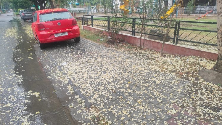 Light Rain Makes The Weather Pleasant In Chandigarh – Amar Ujala Hindi News Live