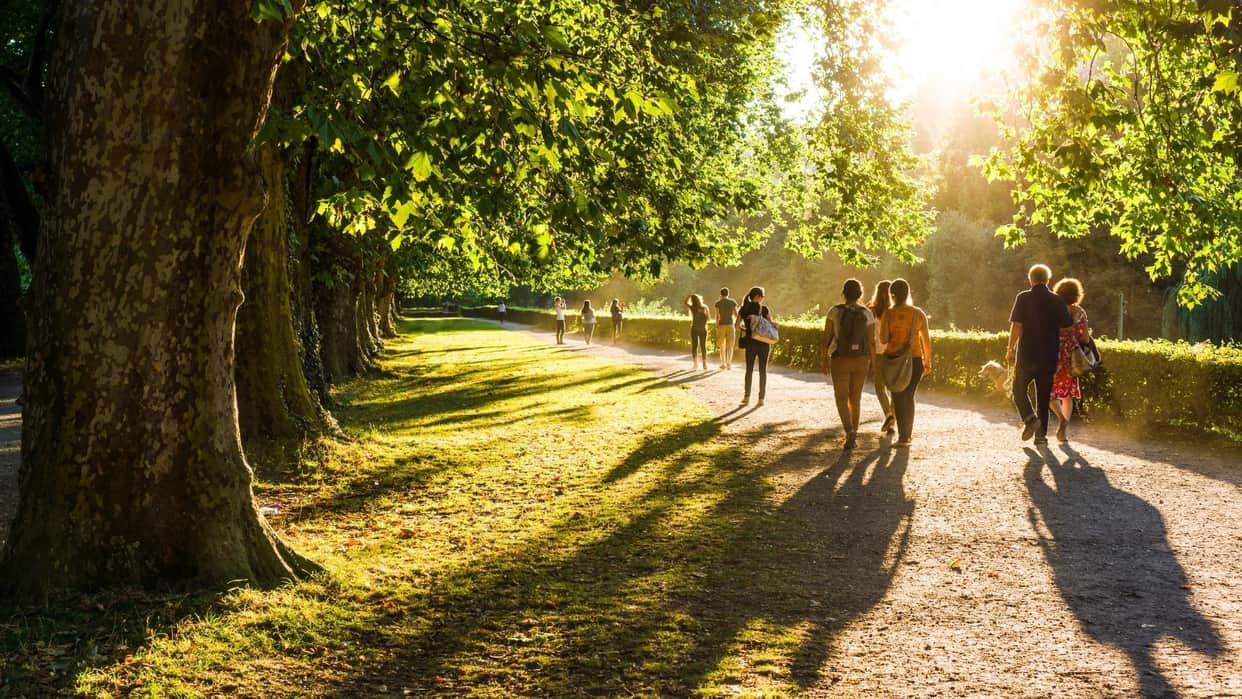 what is forest bathing in hindi park me tahalne ke fayde in hindi