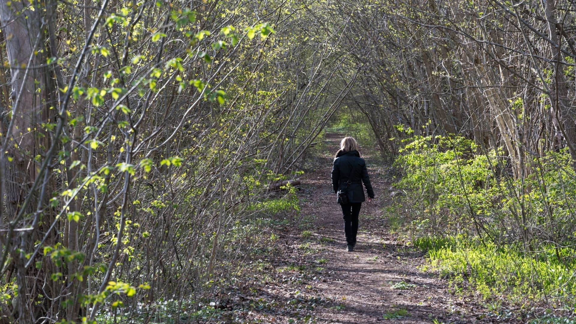 what is forest bathing in hindi park me tahalne ke fayde in hindi