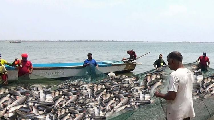 अब छत्तीसगढ़ में मछली मारना पड़ेगा महंगा: 15 अगस्त तक लगाई रोक; उल्लंघन करने पर एफआईआर और जेल भी