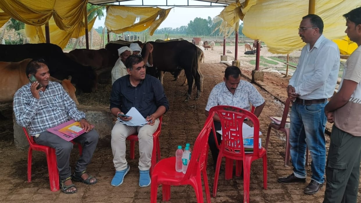 government took cognizance of the fraud in the purchase of straw in bareilly