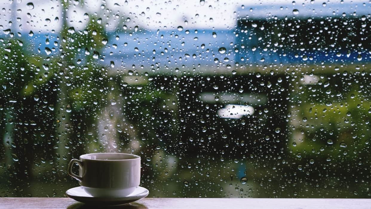 during monsoon risk of these diseases increases know how to prevent them in hindi