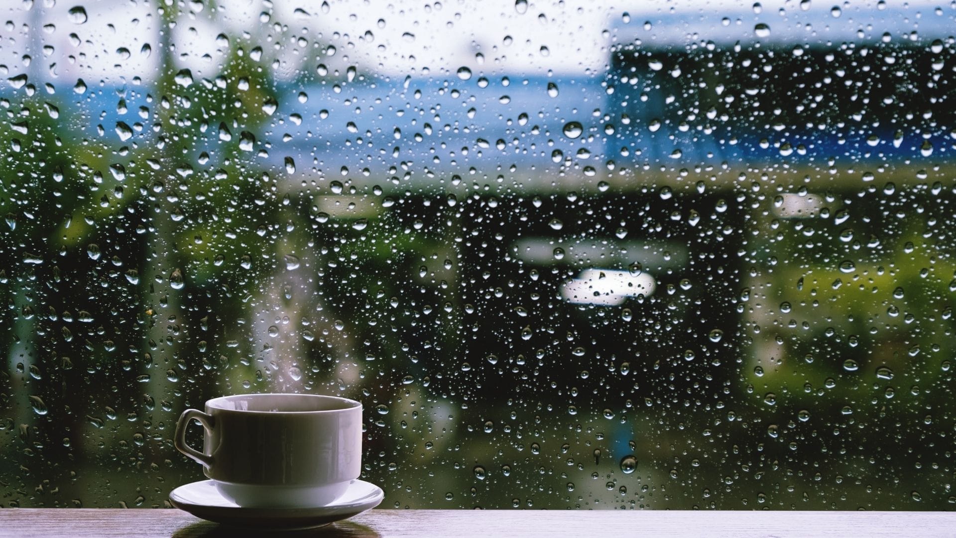 Monsoon Tips Take these precautions to avoid fungal infection during the rainy season