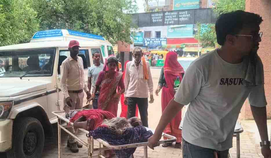 snake bite case increase due to rain