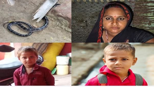 snake bite mother and two sons two innocent children died