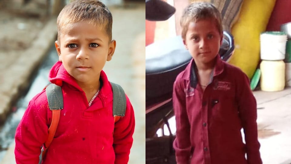 snake bite mother and two sons two innocent children died