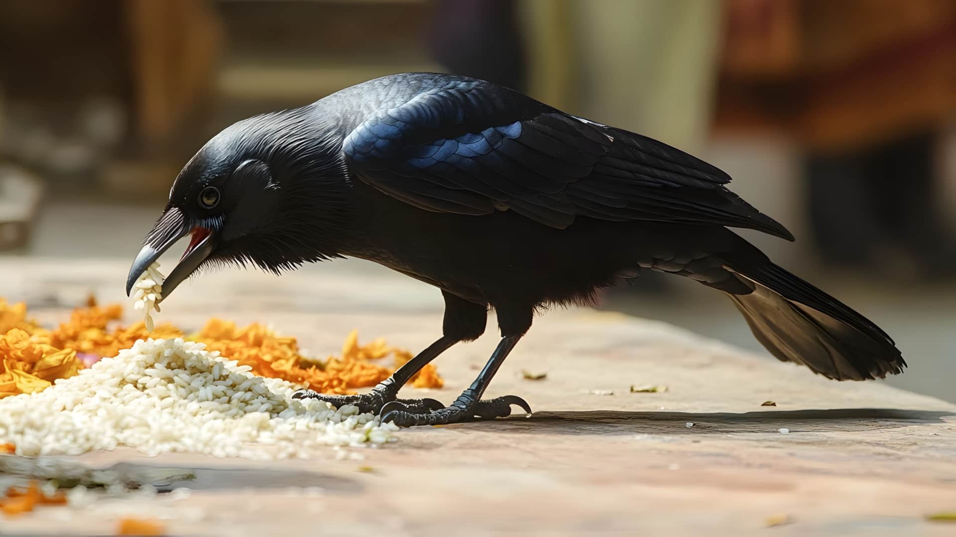 Vaishakh Amavasya 2026 Date Time Daan Importance Ritual in Hindi