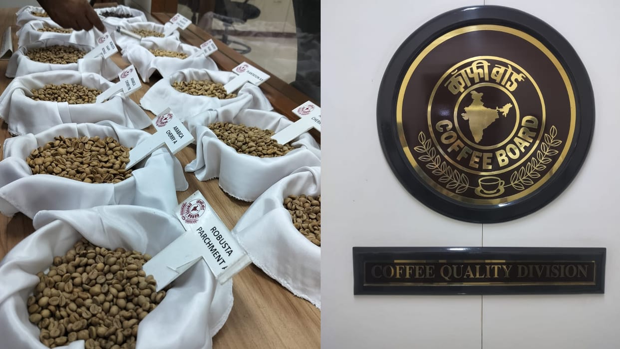 Coffee Board: Earn huge money from coffee, do this course to open a cafe, government will also support