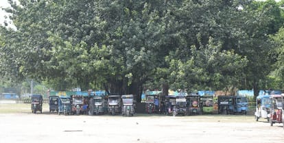Kanpur Erickshaws will run on designated routes from June 29 action  taken against rickshaws without bar codes