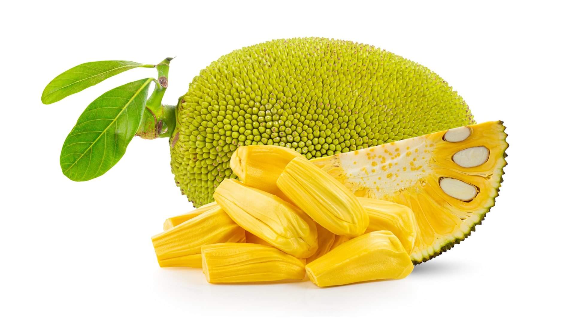 Easy Jackfruit Curry Recipe to Make at Home kathal ki sabji kaise banaen