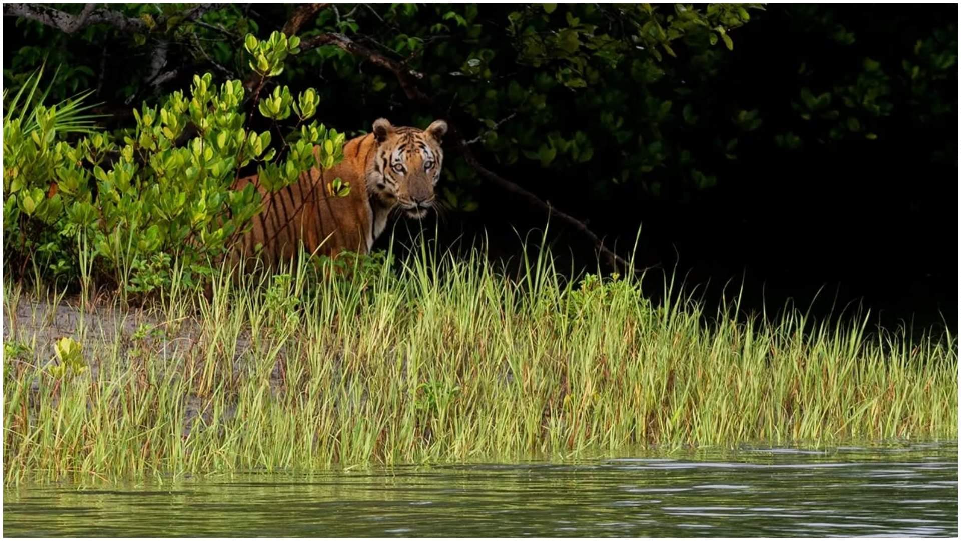 Places Avoid To Visit in India in July Due to Bad Weather and Travel Risks July Trip Plan tips