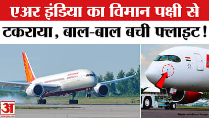 Air India Flight: Bird collides with Air India plane, flight narrowly escapes