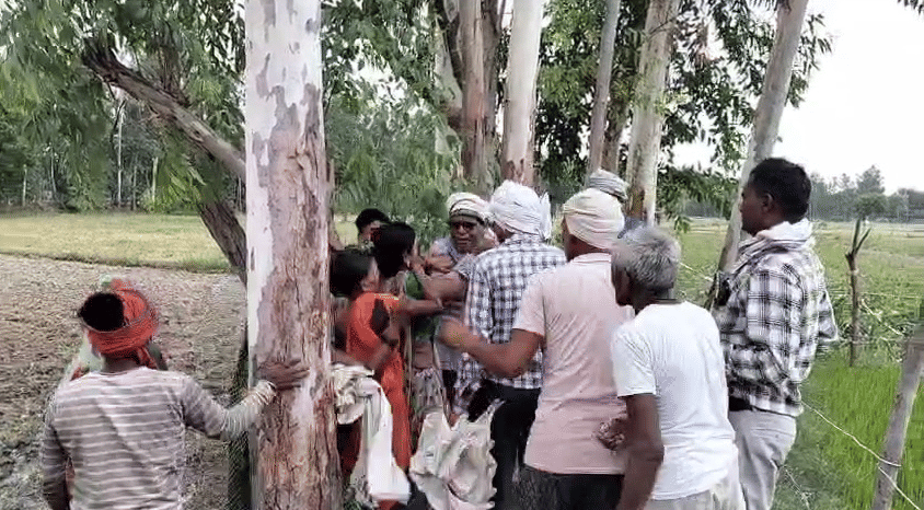 Revenue worker came  measure land attacked sticks video went viral social media two arrested
