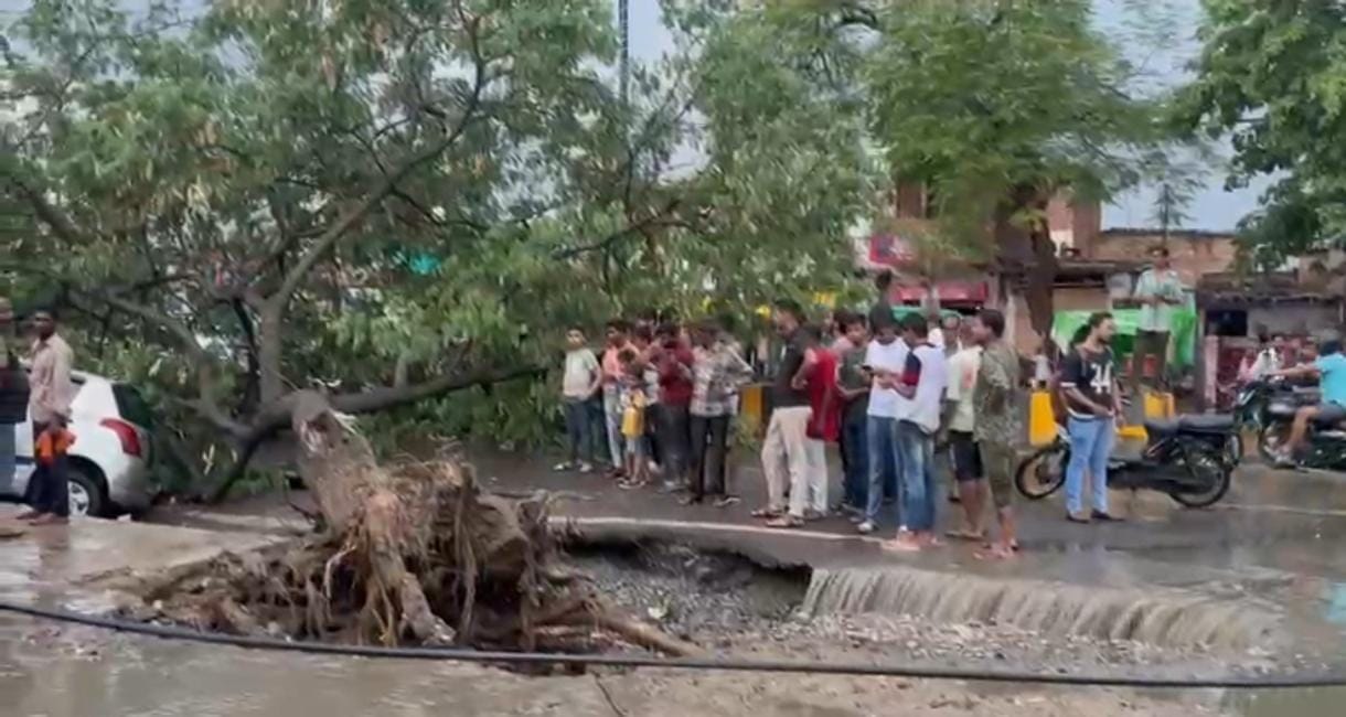Kanpur Rain caused power outage for three hours supply disrupted due to tree branches falling on wires