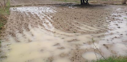 Kanpur Sowing of Kharif crop will start with monsoon rains Revenue Department has geared up