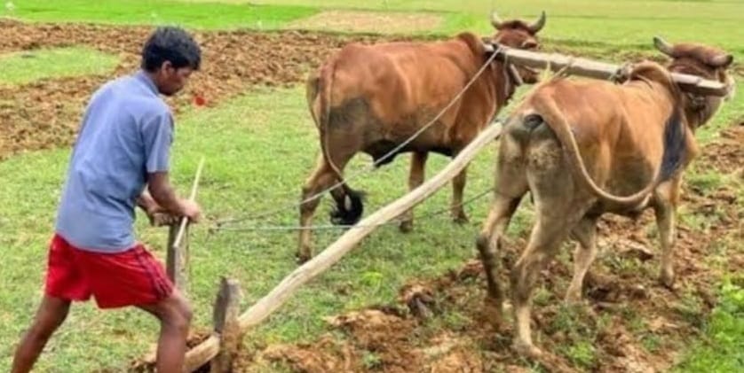 Kanpur Sowing of Kharif crop will start with monsoon rains Revenue Department has geared up