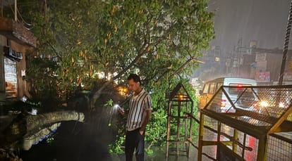 Kanpur Rain caused power outage for three hours supply disrupted due to tree branches falling on wires