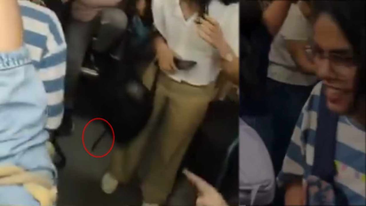 snake entered ladies coach of Delhi Metro video viral