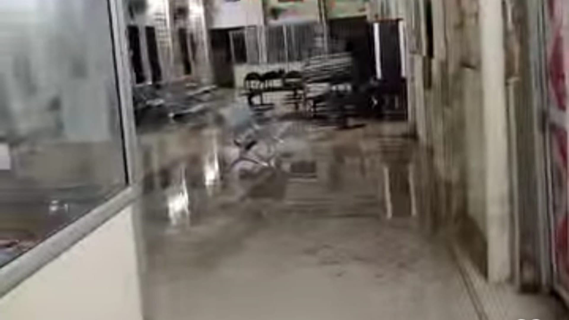 Monsoon Update: First Rainfall in Balotra Exposes Municipal Claims, Poor Drainage Leads to Waterlogging Chaos