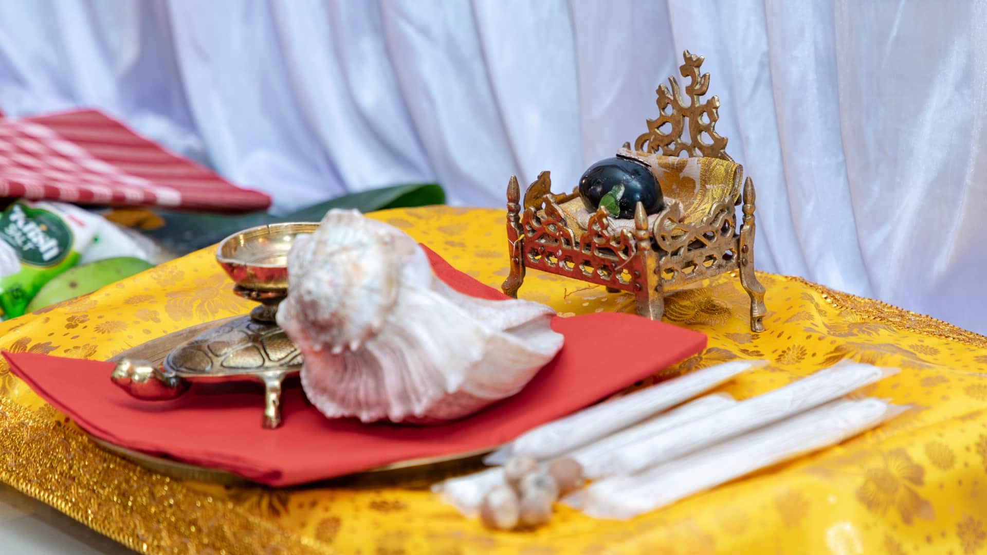 New Year Lucky Sign Watch These 5 Things on New Year’s Day Will be Lucky