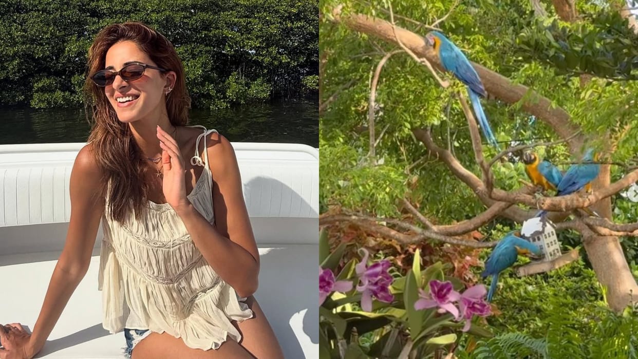 Ananya Panday Shares photos from her miami vacation pics goes viral