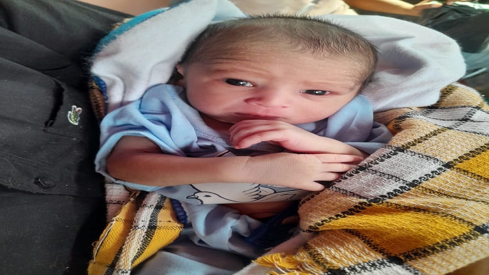 Newborn found lying under a tree in the bushes