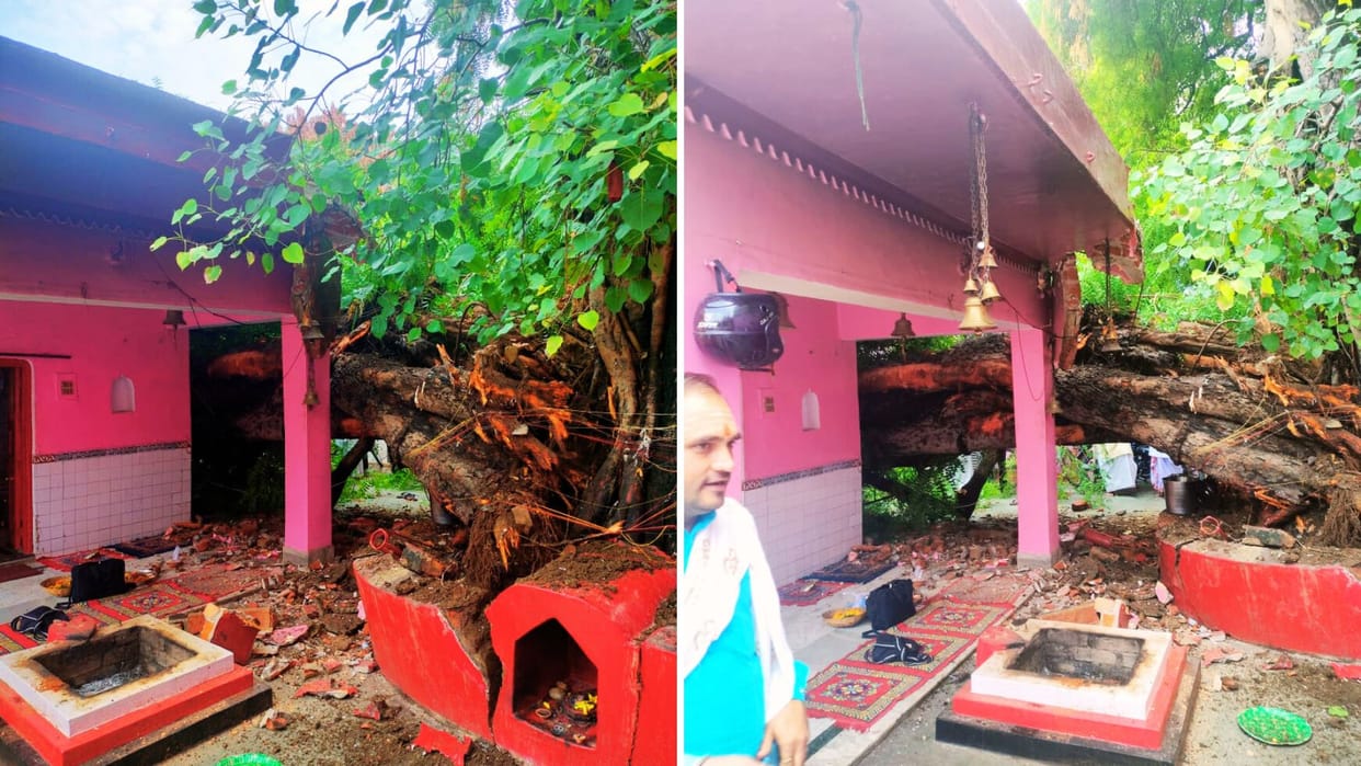 UP Weather news Banaras was colder than Srinagar-Kargil 6.9 mm rainfall 300 year old tree fell Orange alert