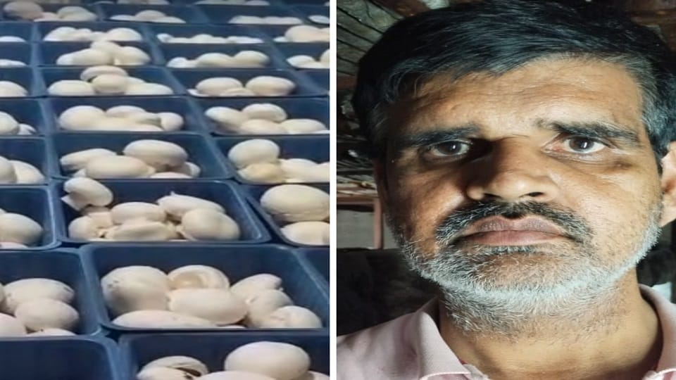 Farmer Yogendra Yadav is earning lakhs from mushroom farming