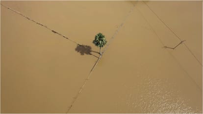 50 thousand people affected by flood in Odisha, Subarnarekha river in spate; Water filled in 17 villages