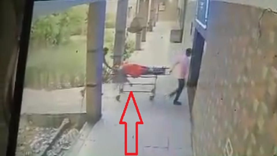 home guard posted at Vrindavan police station kept dead body in mortuary body rotting for 10 days