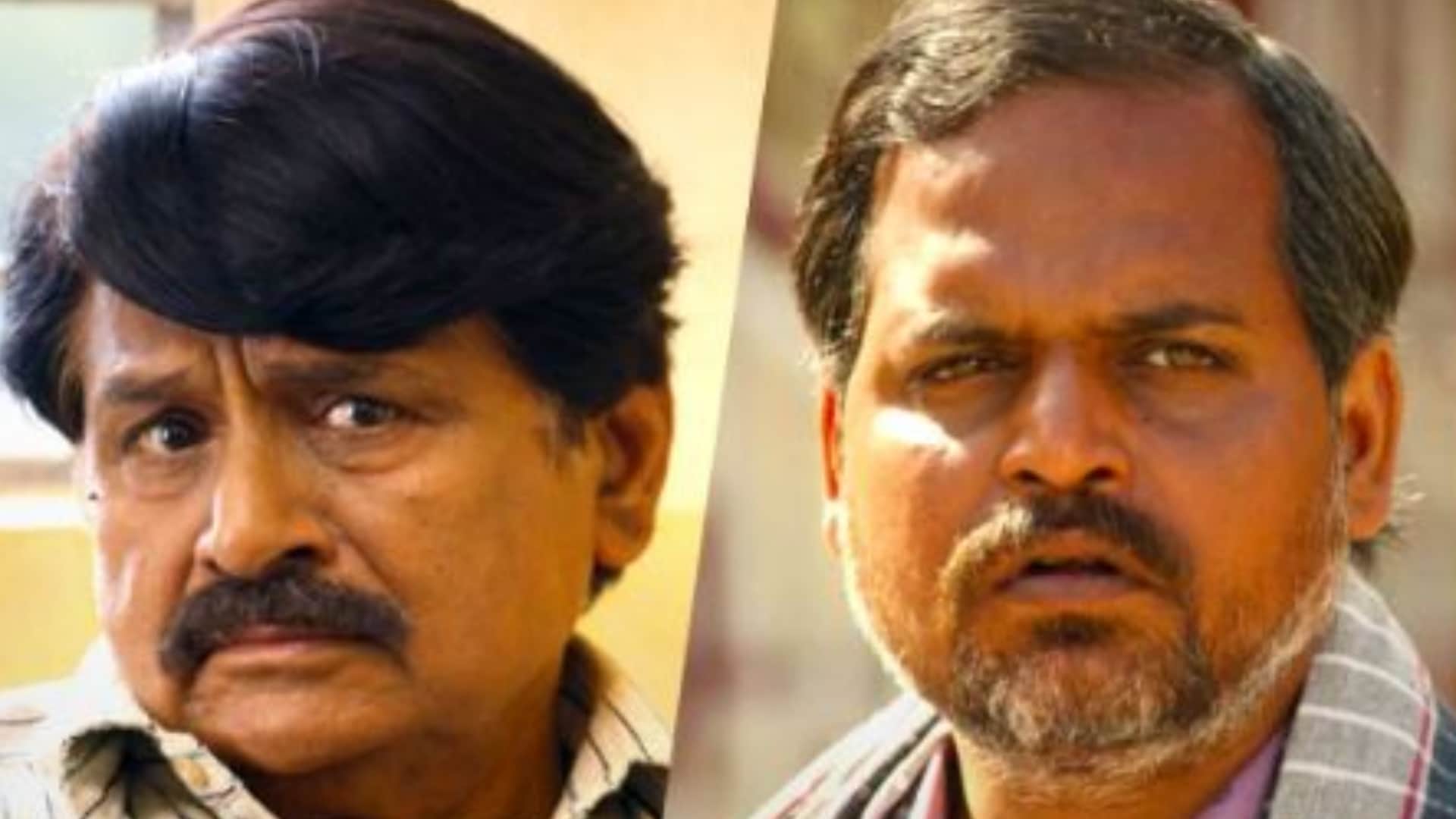 Panchayat Fame Raghubir Yadav Brijbhushan Dubey aka Pradhan Ji Know About His Career In Hindi